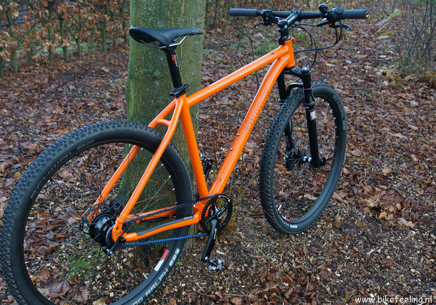 Nest helling Vegetatie Idworx of Santos Mountainbikes, onderhoudsarm met Rohloff of Pinion.