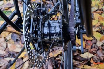 all-rohler-rohloff-ibd-gates