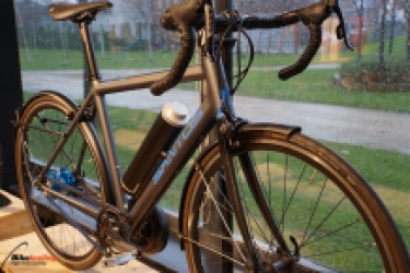 race-lite rohloff shifters pendix