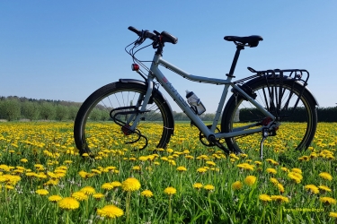 Santos Travelmaster 3+ maat 49, knik bovenbuis paardenbloemen